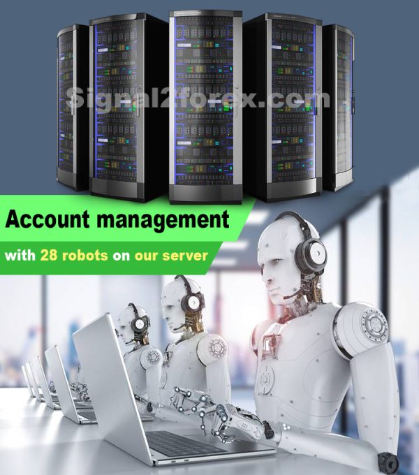 account management on our server